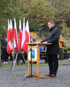 Święto Niepodległości